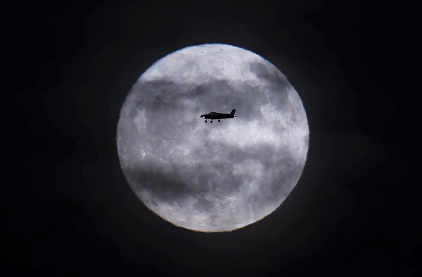[콩코드=AP/뉴시스] 2일(현지시각) 미 캘리포니아주 콩고드 상공에 뜬 슈퍼문을 배경으로 경비행기 한 대가 비행하고 있다. 7월 슈퍼문은 '벅문'(Buck Moon)이라고도 불린다. 2023.07.04.