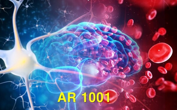 [서울=뉴시스] '레켐비' 승인에 이어 세 번째 알츠하이머 신약이 될 것으로 기대 받는 약까지 효능을 입증하며 치매 극복의 전환점을 맞았다. 사진은 국내 바이오 기업 아리바이오가 알츠하이머 치료제로 개발 중인 ‘AR1001’ 이미지.