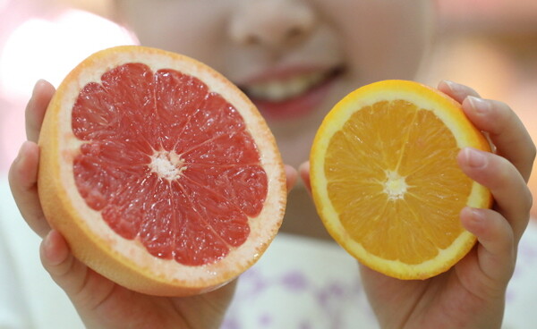 미국 자몽 오렌지 공백 채워줄 남아공 호주산 과일