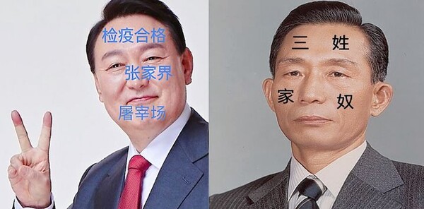 중국의 한 누리꾼이 영화 '파묘'의 한자 문신을 조롱한 데 이어, 윤석열 대통령과 박정희 전 대통령의 얼굴에 한자를 합성한 사진을 올렸다. (사진=X 캡처)